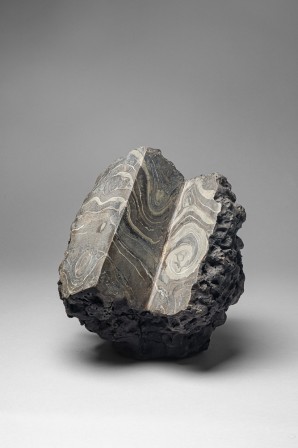 WEB-C42G5394.JPG, avr. 2026