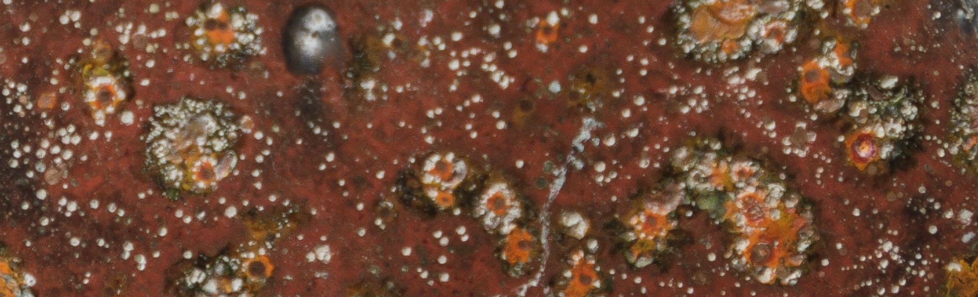 54G3291.jpg